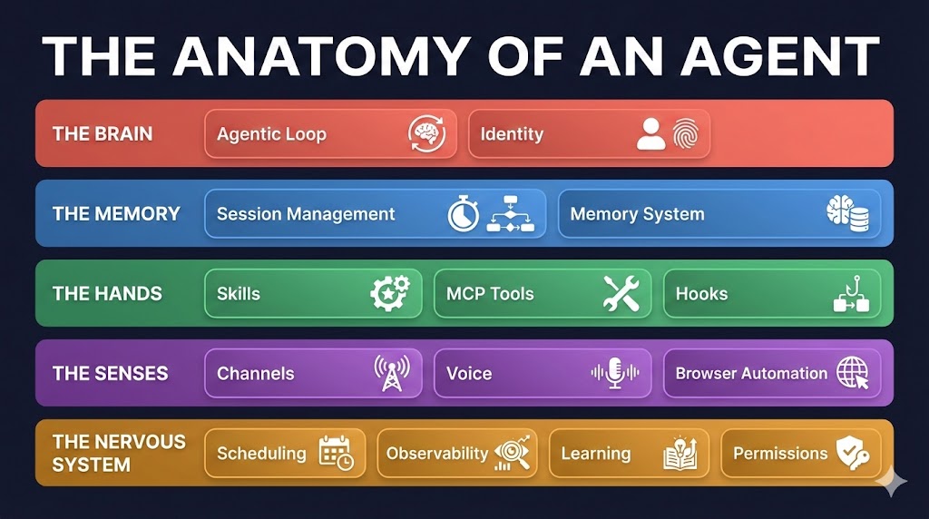 The Anatomy of an Agent — five layers: The Brain (Agentic Loop, Identity), The Memory (Session Management, Memory System), The Hands (Skills, MCP Tools, Hooks), The Senses (Channels, Voice, Browser Automation), The Nervous System (Scheduling, Observability, Learning, Permissions)